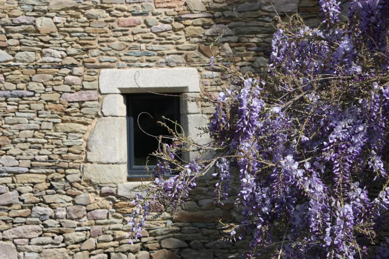 Domaine De La Prevostais Bed and Breakfast Pleucadeuc Εξωτερικό φωτογραφία